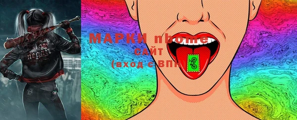 шишки Белоозёрский