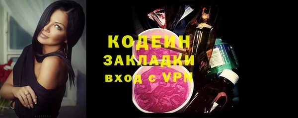 шишки Белоозёрский