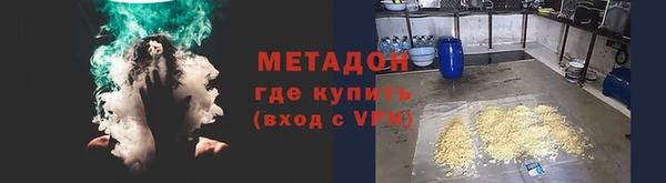 шишки Белоозёрский