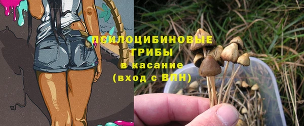 таблы Белокуриха