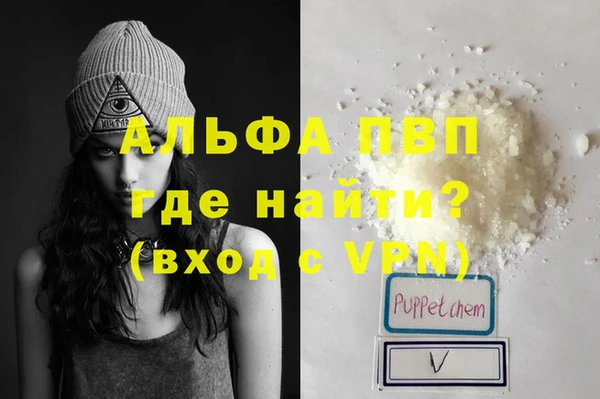 шишки Белоозёрский